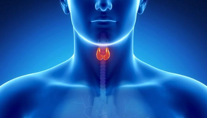 Thyroid-Disorders-Perth